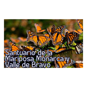 Santuario de la Mariposa Monarca y Valle de Bravo